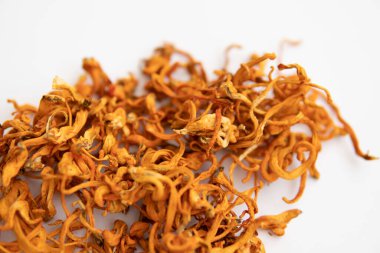 Kuru Taze Cordyceps. Kordycepin kullanıyorum. Kuru kordyceps. Askeri mantar. Beyaz arka plan. Kuru Taze Cordyceps. İnsan Sağlığı Mantarları. Adenozin tedavisi. Kuru kordyceps. askeri mantar..