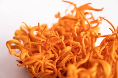 İnsan Sağlığı Mantarları. Cordycepin kullanılıyor. Cordyceps Askeri mantarı. Beyaz arka plan. Adenozin tedavisi. Taze Cordyceps .