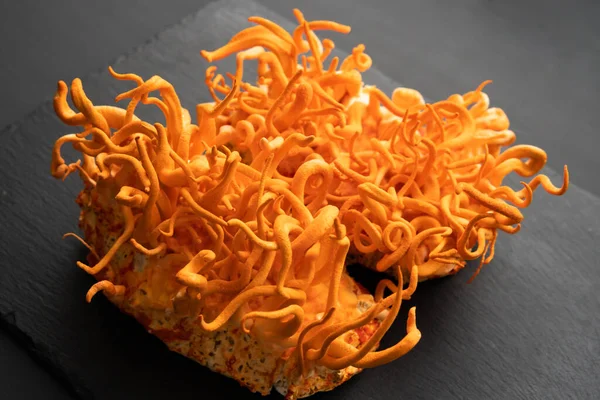 Mantar insan sağlığı. Cordyceps Askeri mantarı. Taze Cordyceps Cordycepin. Cordycepin kullanılıyor. Adenozin ile kordiseps tedavisi. Siyah arkaplan .