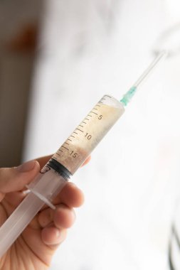 Sıvı miselyum kültürü. Psilosibin mantarı. Psilosibe cubensis. Mantar ekimi.