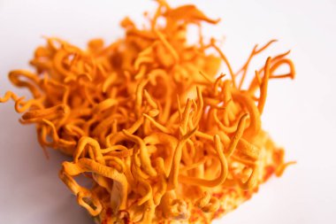 Taze Cordyceps. Adenozin tedavisi. Cordycepin kullanılıyor. İnsan Sağlığı Mantarları. Beyaz arka plan. Cordyceps Askeri Mantar.