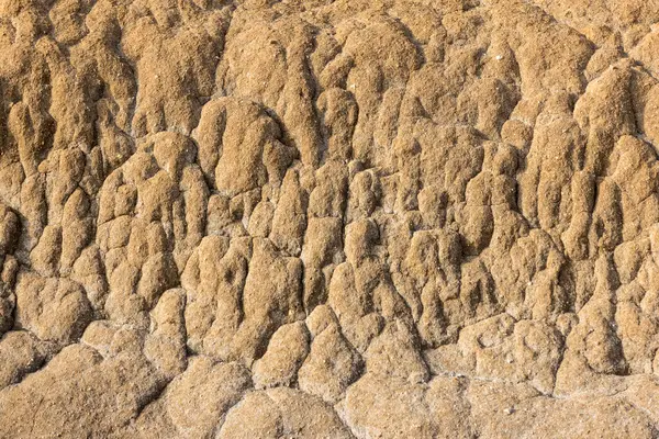 Αμμώδης Υφή Θαλάσσιου Τοίχου Από Πολλά Χρόνια Διάβρωσης Του Νερού — Φωτογραφία Αρχείου