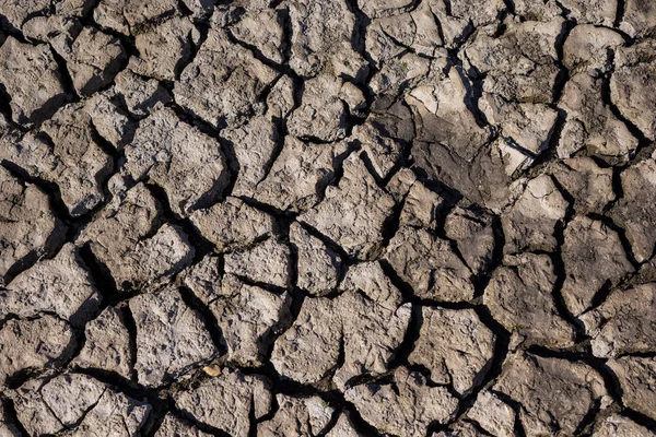 Chiudi Trama Fango Essiccato Uno Stagno Durante Calore Estivo — Foto Stock