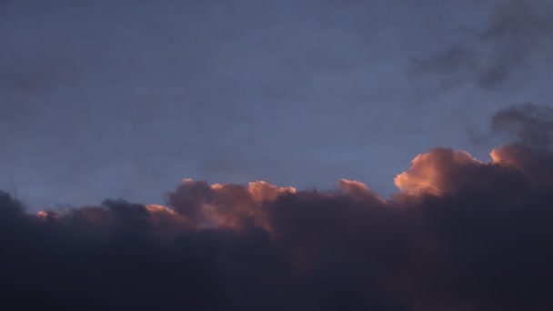 Silhouette Fugl Flyver Gennem Langsomt Bevægende Skyer Ved Solnedgang – Stock-video