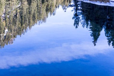 Mavi gökyüzü ağaçları ve ince bulutlar Truckee nehrine yansıyor