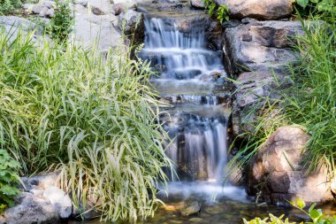 Bahçedeki bir derede şelaleye uzun süre maruz kaldım.