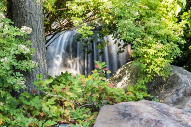 Şelale yapraklı yaprakların arasından çerçevelenmiş ormandaki kayalardan aşağı yuvarlanıyor.