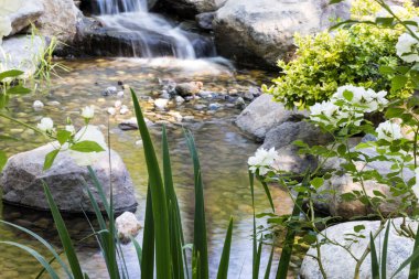 Uzun süre maruz kalan şelale, küçük bir bahçedeki havuza boşalır.