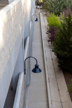 Çalı çırpı kaplı beton bir sokak. Süslü siyah ışıklarla aydınlatılmış.