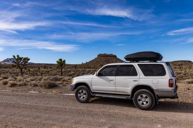 Beyaz arazi aracı, Joshua ağacı dolu çölü araştırıyor.