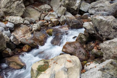 Bir dağ deresi yosunlarla kaplı taşların arasında hızla akıyor. Yavaş suyun etkisi..