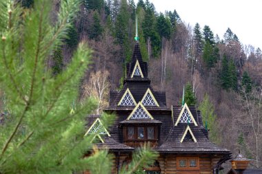 A beautiful wooden house in the highlands of the Ukrainian Carpathians stands against the backdrop of a dense forest. In the foreground are green branches of a pine tree with needles.