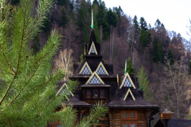 A beautiful wooden house in the highlands of the Ukrainian Carpathians stands against the backdrop of a dense forest. In the foreground are green branches of a pine tree with needles.