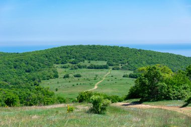Bahar güneşli bir yaz gününde dağ manzarası. Yeşil ağaçlar, çalılar ve otlarla büyüyen tepenin manzarası. Toprak dolambaçlı yol dağ çayırlarında esiyor..