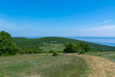 Bahar güneşli bir yaz gününde dağ manzarası. Yeşil ağaçlar, çalılar ve otlarla büyüyen tepenin manzarası. Toprak dolambaçlı yol dağ çayırlarında esiyor..
