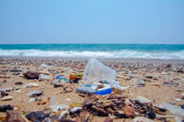 Garbage on the sea beach. A man-made garbage in the sea: plastic bottles, glasses and other plastic. Photo shows the problems of the environment due to pollution of the Earth with plastic waste.