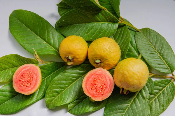 Ripe yellow fruits and leaves of guava on a white background. Beautiful fruits of common tropical fruit Psidium guajava.