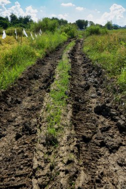 Çamurda tekerlek izi