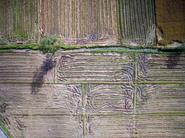 Terraced Rice Field Chiangmai Tailandia Vista Superior — Foto de Stock