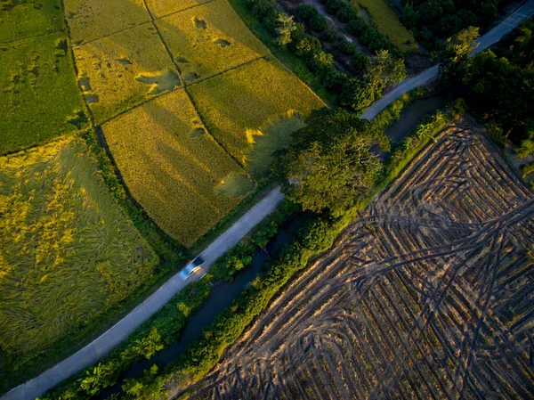 Terasovité Rýžové Pole Pohledu Shora Chiangmai Thajsko — Stock fotografie