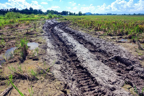 Wheel track on mud