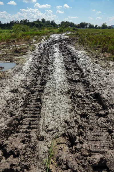 Wheel track on mud