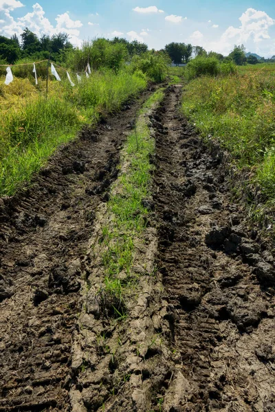 Wheel track on mud