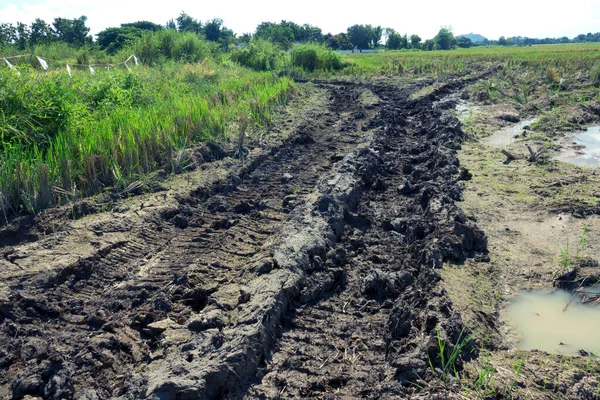 Çamurda tekerlek izi