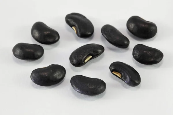Lot Black Bean White Background — Stock Photo, Image