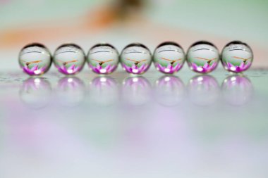 Soyut yağlı boya fırça, çiy damlacıkları çim ve pembe çiçek, Yusufçuk yansıtan bir bıçak yakından