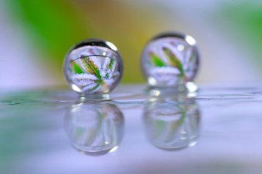 Soyut yağlı boya fırça, çiy damlacıkları çim ve çiçek pul kar yansıtan bir bıçak yakından