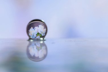 Soyut boya fırçası, çimenlerin üzerindeki çiğ damlacıklarını kapat ve beyaz çiçekleri yansıt.