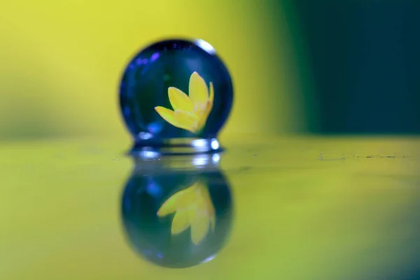 Soyut yağlı boya fırça, çiy damlacıkları otu ve sarı çiçek yansıtan bir bıçak yakından