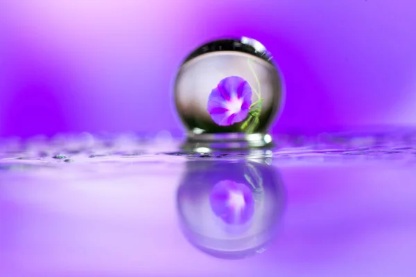 Soyut yağlı boya fırça, çiy damlacıkları otu ve menekşe çiçek yansıtan bir bıçak yakından