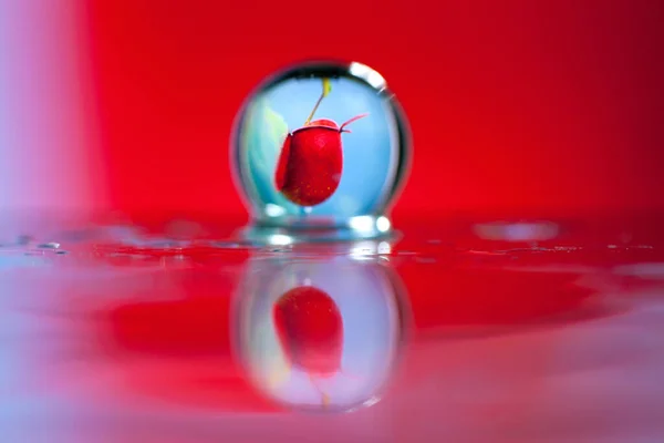 Soyut yağlı boya fırça, çiy damlacıkları otu ve kırmızı çiçek yansıtan bir bıçak yakından