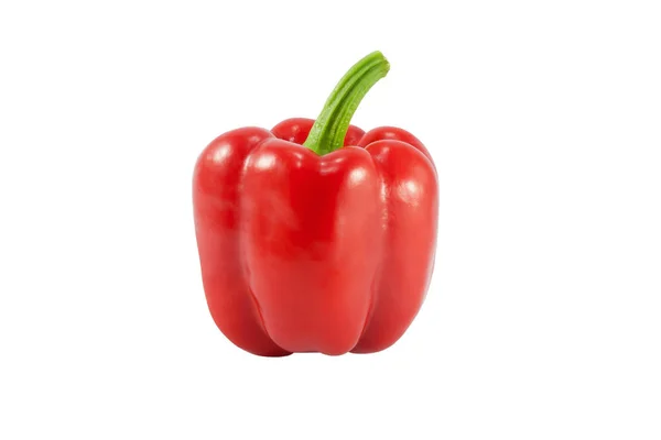 dolma biber beyaz arkaplanda izole edildi