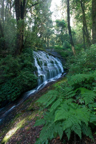 Small Waterfall Kew Mae Pan Trekking Route Doi Intanon Thailand — Stockfoto