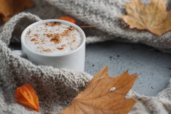 Mug Cinnamon Latte Coffee Table Knitted Scarf Dry Leaves Winter — Stock Photo, Image