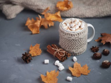 Sıcak çikolata, sonbahar ve kış içecekleri masada marşmelov ve tarçın ve kuru sarı sonbahar akçaağaç yapraklarıyla.