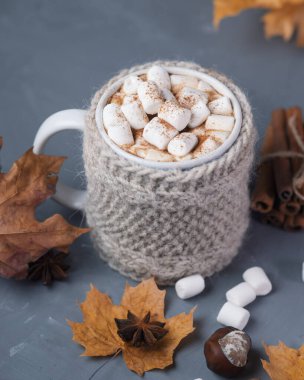 Sıcak çikolata, sonbahar ve kış içecekleri masada marşmelov ve tarçın ve kuru sarı sonbahar akçaağaç yapraklarıyla.