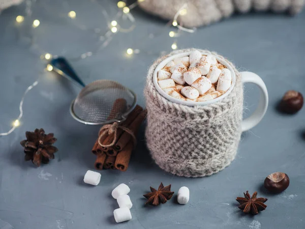 Varm Chokolade Efterår Vinter Drink Med Skumfiduser Kanel - Stock-foto