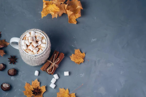 Hot Chocolate Autumn Winter Drink Marshmallows Cinnamon Table Dry Yellow — Stock Photo, Image