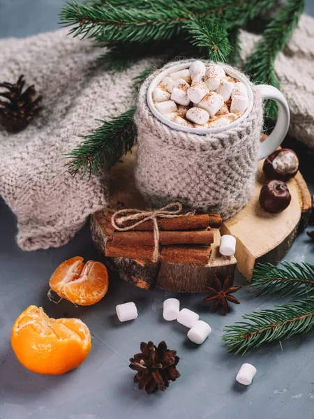 Hot Chocolate Autumn Winter Drink Marshmallows Cinnamon — Stock Photo, Image