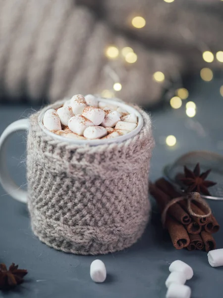 Hot Chocolate Autumn Winter Drink Marshmallows Cinnamon — Stock Photo, Image