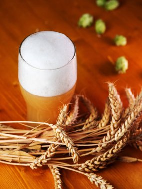 Bir bardak New England Craft Filtresiz Bira Ipa,