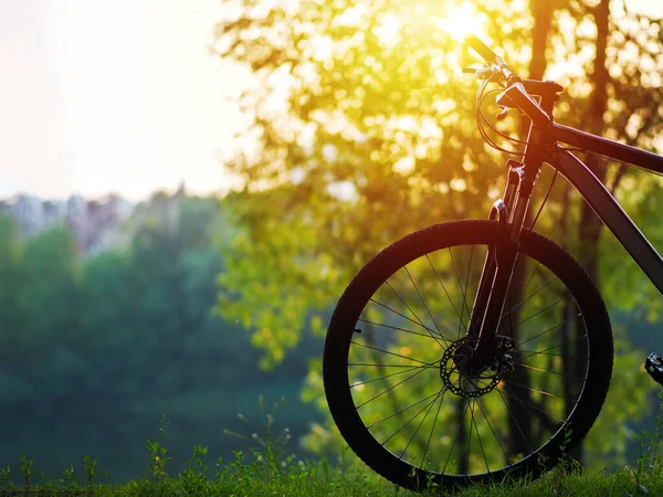 Bicicleta Margem Rio Pôr Sol Conceito Estilo Vida Ativo Parque Imagens Royalty-Free