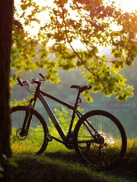 Bicicleta Margem Rio Pôr Sol Conceito Estilo Vida Ativo Parque Imagem De Stock
