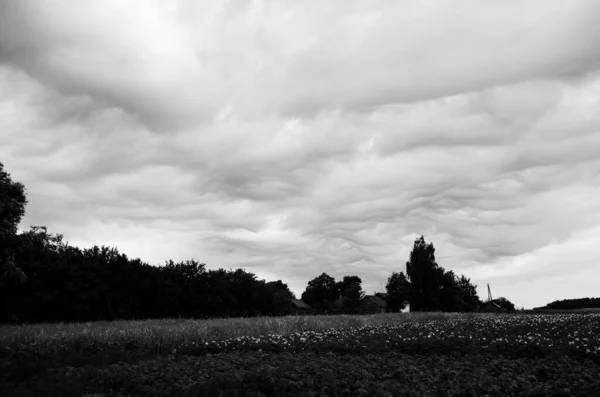 Fırtınadan önce gökyüzünde inanılmaz bulutlar