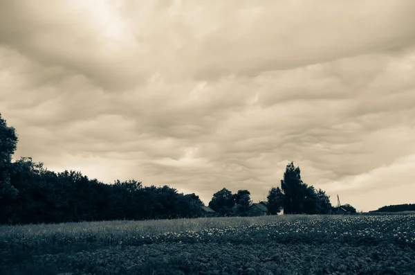 Fırtınadan önce gökyüzünde inanılmaz bulutlar