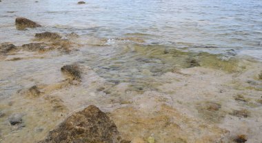 Deniz dalgaları, kum ve mavi gökyüzü